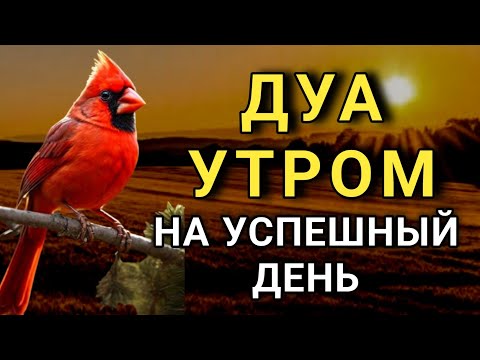 Видео: ☝️ ДУА УТРОМ САМЫЙ МОЩНЫЙ СТАРТ ДНЯ! 🤲🔑☀️💯