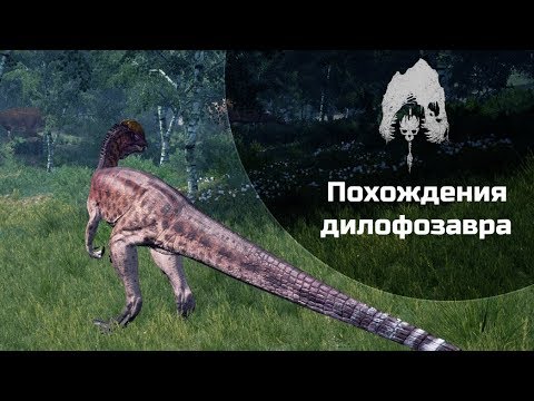 Видео: THE ISLE - Похождения Дилофозавра