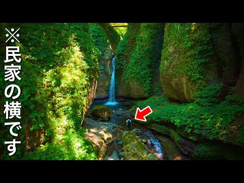 Видео: Вид из окна частного дома | Япония — страна, где природа сосуществует с природой