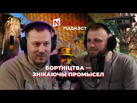 Видео: Традыцыя бортніцтва: дзікі мёд, пчаляры і пчаладзёры. Падкаст Natatnik з Іванам Восіпавым