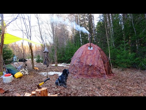 Видео: Поход к месту, где была заброшенная деревня отшельников староверов в глухой тайге Коми. Часть 1