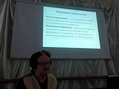 Видео: Подкормки томатов (семинар Клуба "Цветущий сад")