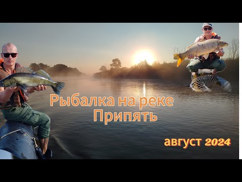 Видео: Рыбалка на Реке Припять от Петрикова до Мозыря в августе. Ловля окуня, судака, щуки,жереха и сазана