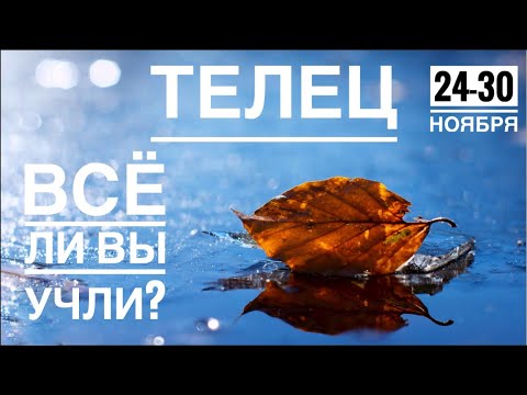 Видео: Телец ♉️ 24-30  ноября 2025 года 🍀🔮✨🗝❤️ Таро прогноз предсказания