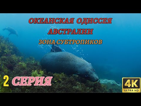 Видео: Мир Дикой Природы. Австралия и Океания. Документальный Фильм 4K. 2 серия из 3