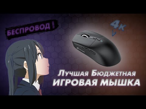 Видео: Обзор Лучшей БЮДЖЕТНОЙ ИГРОВОЙ МЫШИ | Attack Shark x6