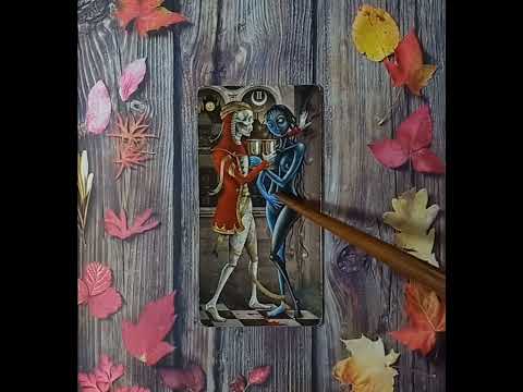 Видео: Для начинающих. Таро безумной луны. Двойка Кубков