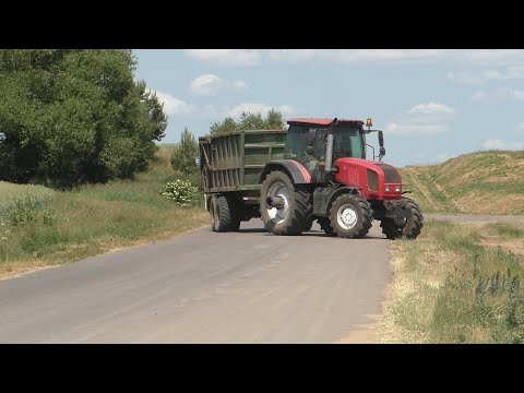 Видео: Вывоз навоза на поле, 2023, МТЗ 2022.3 Беларус, МАЗ