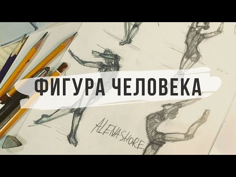 Видео: Как нарисовать фигуру человека?