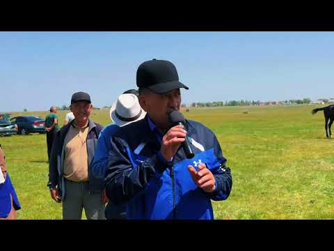 Видео: 4 мая 2025 г.