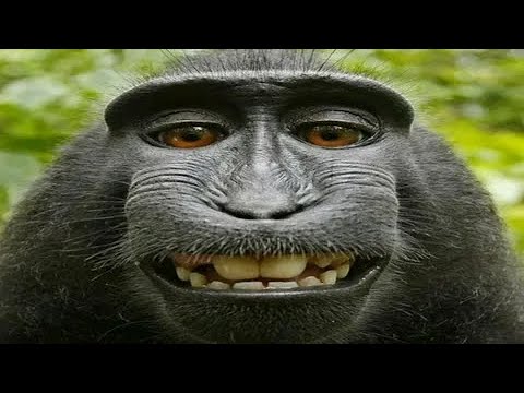 Видео: Проходим Metro Last Light