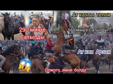 Видео: Ноокат ЖЫЛКЫ Базарда Ушундай соода болду 3 айлык  Кулун  290 миңге Сатылды