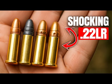 Видео: 20 самых смертоносных патронов калибра .22 LR, которые вы сможете купить в 2025 году