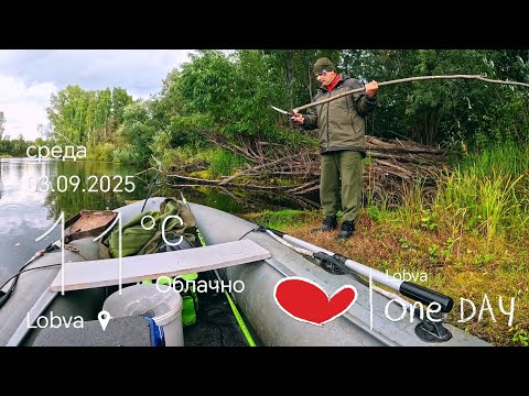 Видео: Пока ставил Самоловки, на перемёт Щука влетела. Рыбалка на новом месте. 
