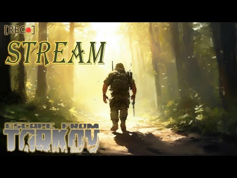 Видео: 🔴Tarkov : Ждем обнову...  Рейды, квесты, все дела..