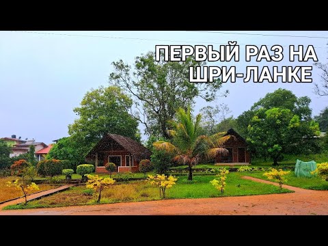 Видео: СИГИРИЯ. Летим на ШРИ-ЛАНКУ. Village tour.