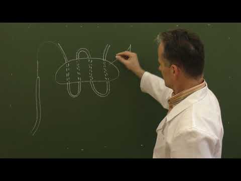 Видео: Гемостатический шов Кузнецова-Пенского