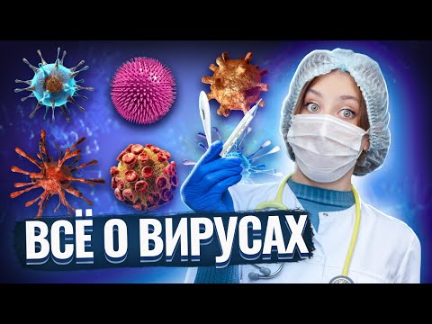 Видео: Все про вирусы для ЕГЭ| Биология ЕГЭ 2025 | Умскул
