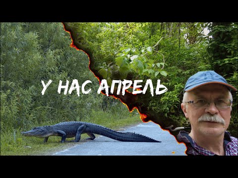 Видео: У нас апрель...   и вокруг карантин...    есть где пешком походить и в лодочке посидеть