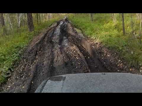 Видео: Алтай, УАЗ, лес, грязь и солнце)