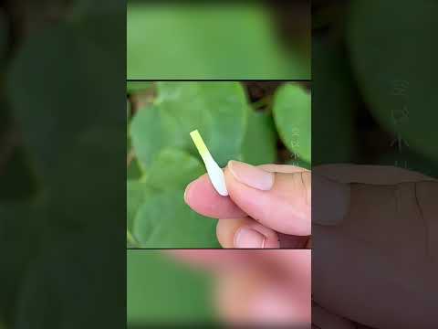 Видео: 5трюков которые скрывают мастера-пока ты переплачиваешь