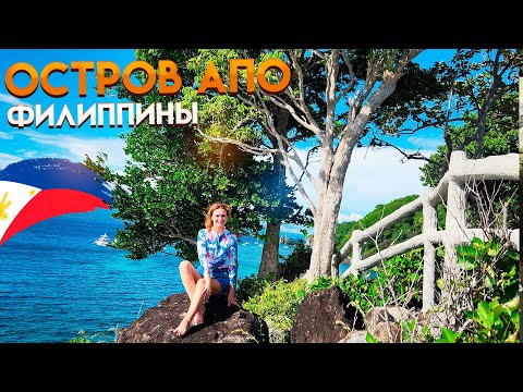 Видео: Филиппины. Дауин. Обзор отеля для дайверов. Едем на остров АПО и плаваем с черепахами
