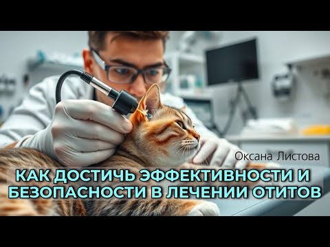 Видео: Как достичь эффективности и безопасности в лечении отитов