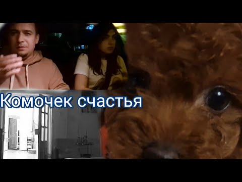 Видео: Наше маленькое счастье!/ Зря поехали на Дачу/ Будни Марселя 