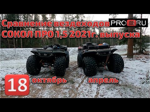 Видео: сравнение двух вездеходов Сокол Про 1,5 2021г. выпуска