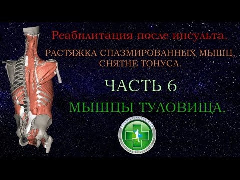 Видео: Растяжка спазмированных мышц, снятие тонуса. Часть 6. Мышцы туловища.