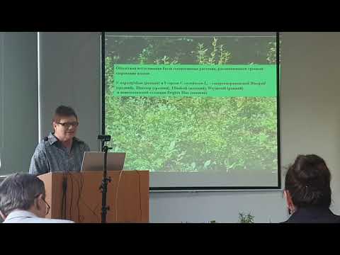 Видео: Сезонная динамика развития микоризного симбионта у растений голубики высокой (4/9)