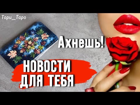 Видео: 🎶 Вот это новость…Обалдеть!