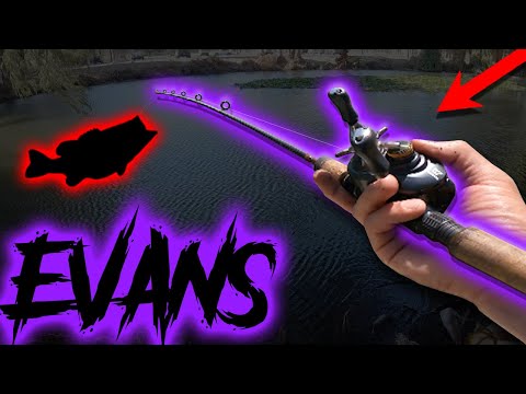 Видео: Большой окунь на озере Эванс!