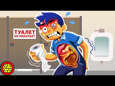 Видео: Как долго вы можете не ходить по-большому, прежде чем взорветесь