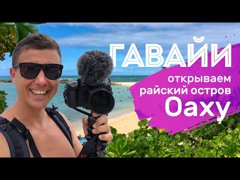 Видео: Гавайи. Чем меня покорил остров Оаху