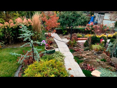 Видео: Посилочка з рослинками. Останні теплі дні, підживлення гортензій.