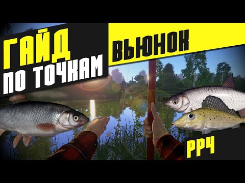 Видео: Гайд по точкам на Вьюнке - Русская рыбалка 4 [РР4]