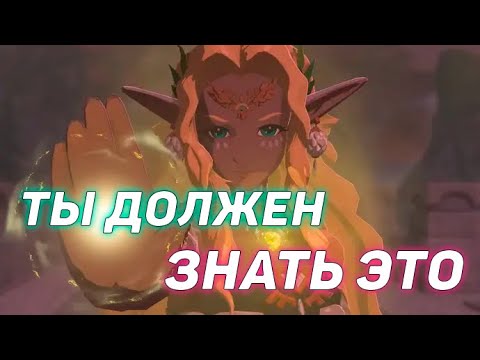 Видео: Zelda TotK : 10 СОВЕТОВ НОВИЧКАМ КОТОРЫЕ НЕ ИГРАЛИ в Breath of the Wild