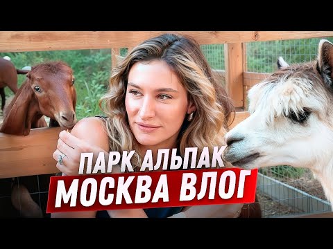Видео: Август ВЛОГ: бады, альпаки и прогулки по Москве