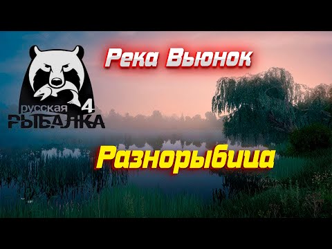 Видео: РР4 #11Река Вьюнок. Идеальная точка для Новичка.