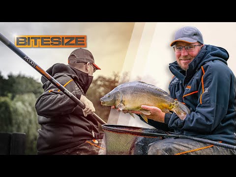 Видео: ЧЕМПИОН £50 000 Секреты ловли на удочку Энди Беннетта | Guru Bitesize #052