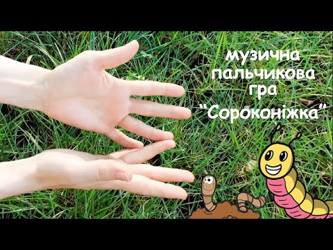 Видео: Музична пальчикова гра "Сороконіжка"! Fingerplay! (ЗІ ЗБІРКИ: ВИПУСК 2 - музичні пальчикові ігри)