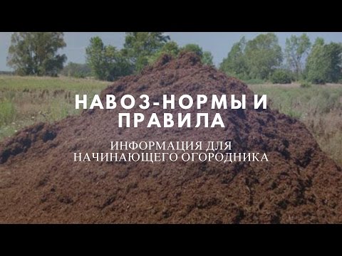 Видео: Азы о навозе -перегное для начинающих огородников!