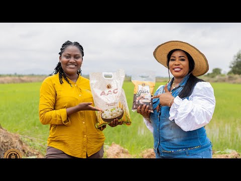 Видео: Познакомьтесь с женщиной-предпринимателем из Ганы, которая преобразила производство риса, инвести...