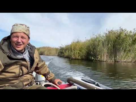 Видео: КОСКУМБЕЗ - ЭТО ГДЕ?| ДИКИЙ, НЕ ОБЖИТЫЙ КРАЙ| отдых #fishing #рыбалка #юмор