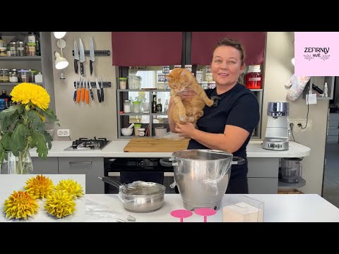 Видео: Хризантема цікавою технікою відсадки