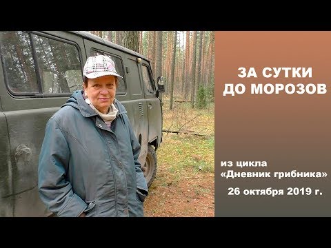 Видео: За сутки до морозов и снега! Дневник грибника 26 октября 2019 .
