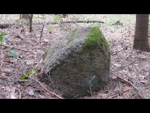 Видео: Древнейшее кладбище в Беларуси выглядит вот так...