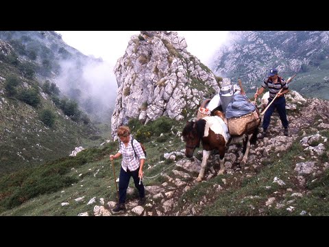 Видео: Жизнь пастухов Пикос-де-Эуропа и сыр Гамонеу | Потерянные сделки | Документальный фильм