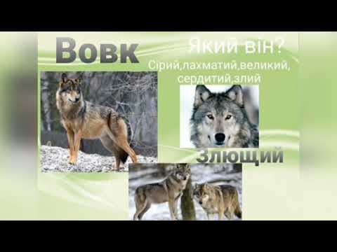 Видео: Розвиток мовлення "Як звіри до зими готуються?"